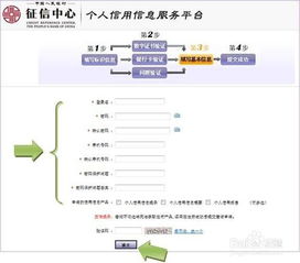 互聯網時代的個人信用信息查詢與信息咨詢服務